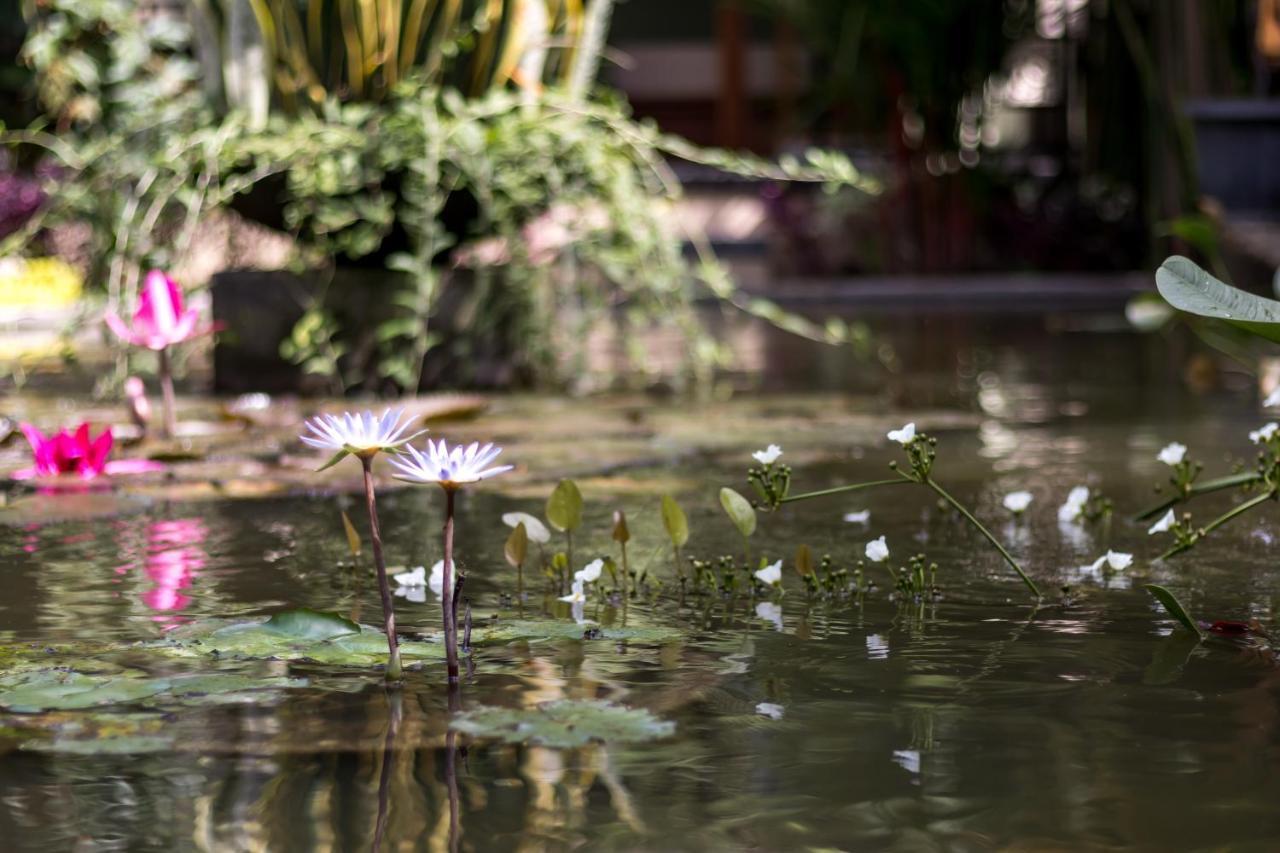 Hidden Padma Retreat Hotel อูบุด ภายนอก รูปภาพ